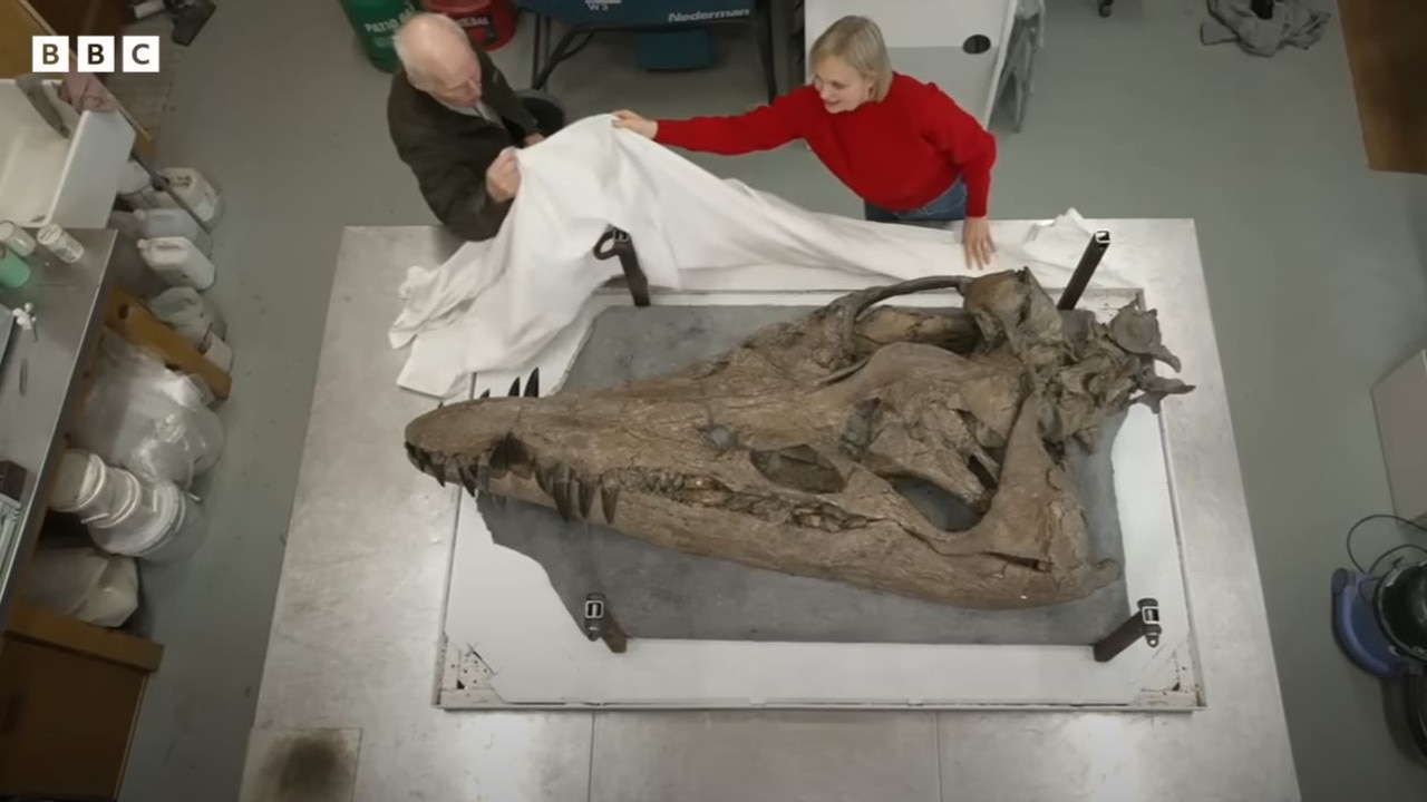 The huge sea monster was found near the World Heritage Jurassic Coast. Picture: YouTube/BBC