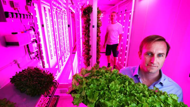 Co-founders of Sprout Stack, Francisco Caffarena (right) and Michael Harder in one of their growing containers in Chatswood in Sydney. Picture: John Feder