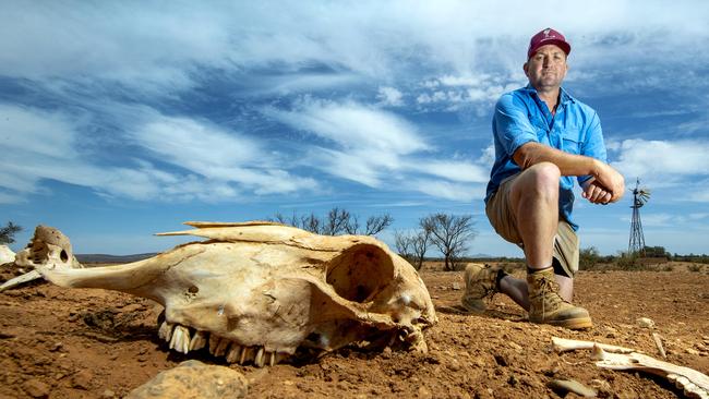 Sheep farmer Michael Burford on Merngenia Station north east of Peterborough. Picture: Mark Brake