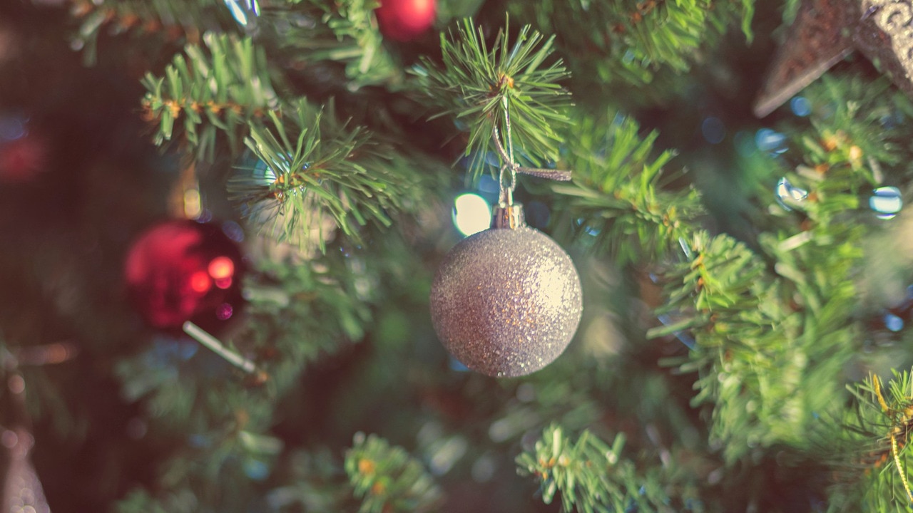 Last minute rush for real Christmas trees | Sky News Australia