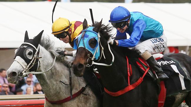 Danchai, left, returns to Sydney after winning the Ipswich Cup. Picture: Tara Croser