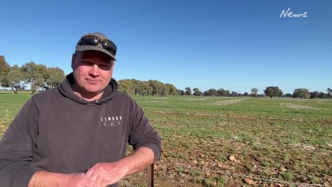 Grains and cropping farmer Justin Everitt