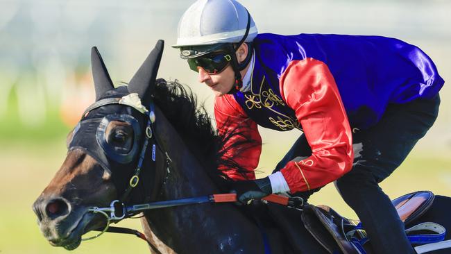 James McDonald on Chalk Stream, owned by The Queen, trials at Royal Randwick in February. Picture: Jenny Evans–Getty Images