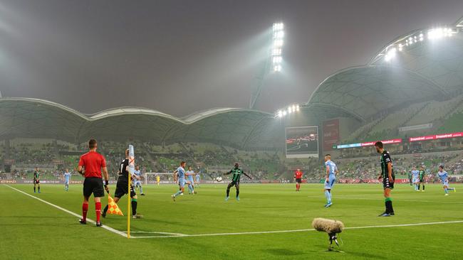 Smoke hits AAMI Park during the Western United v Melbourne City A-League game.