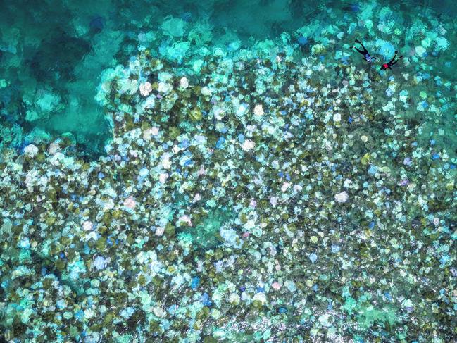 This aerial photo taken on April 5, 2024, shows tourists snorkelling above bleached and dead coral around Lizard Island on the Great Barrier Reef. Picture: AFP