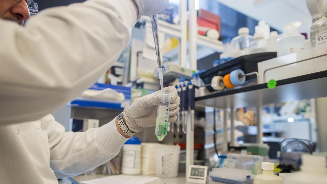 A worker tests a liquid chemical inside of a laboratory at the Pfizer Inc. research and development facility in Cambridge. Picture: Bloomberg News