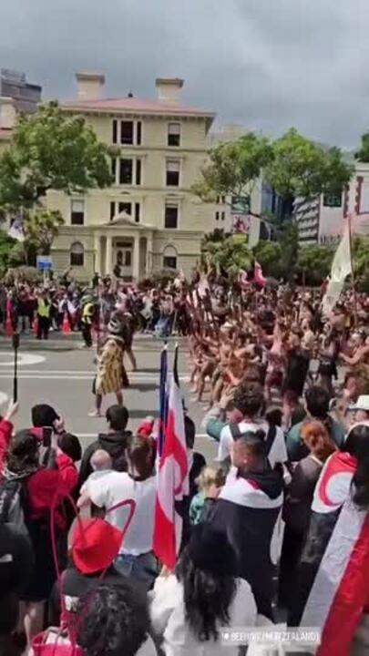 Tens of Thousands of People Protest Against Treaty Bill Outside New Zealand Parliament