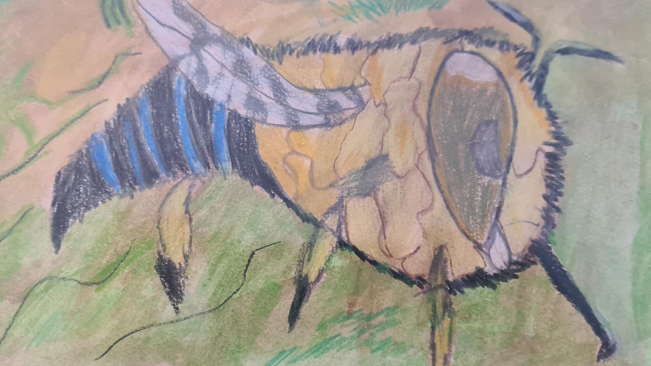 Artwork 'Blue-banded bee at the Beach' by Charles Whitehead, a winner of the 2023 Northern Beaches Environmental Art & Design Prize. Picture: Northern Beaches Council