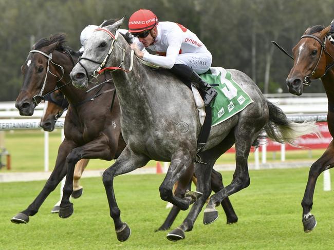 Getting back to his ideal distance can see Jack Duggan return to winning form. Picture: Bradley Photos