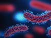 The ‘silent global pandemic’ that will undermine healthcare systems and food safety