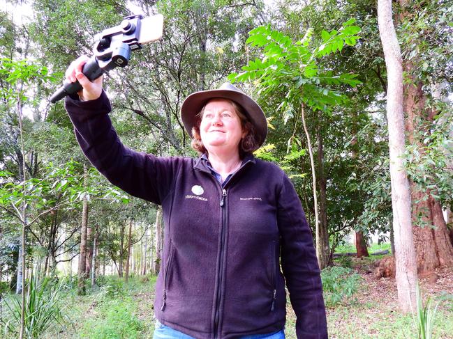 Vision Walks Eco Tours owner and operator Wendy Bithell streaming one of her live tours online. Photo: Vision Walks)