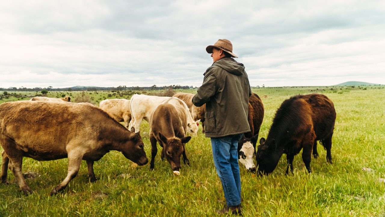 Australia’s trade agreement with the UAE benefits farmers in a way one with the EU could not