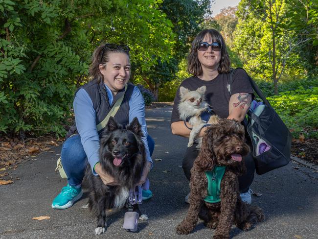 RSPCA SA's Million Paws Walk in Adelaide on May 25, 2025. Picture: Ben Clark