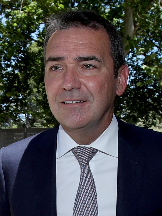 Premier Steven Marshall 