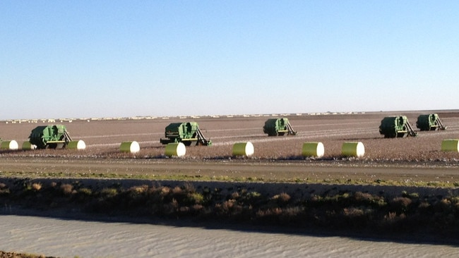 Cotton harvest at the Harris family’s Ravensworth Agriculture Company.