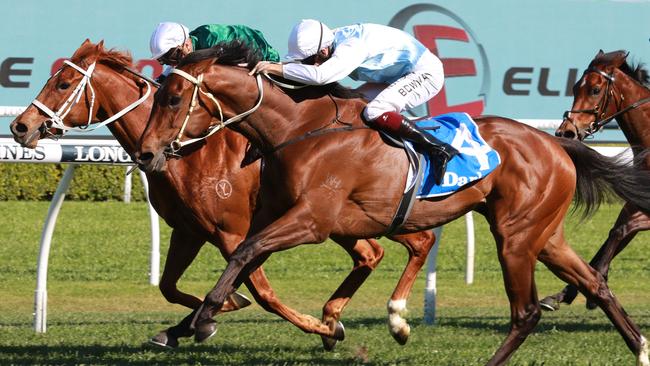 Montefilia is favoured to claim a third Group 1 in Saturday The Metropolitan. Picture: Grant Guy
