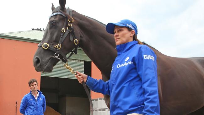 Godolphin trainer James Cummings checks over Avilius. Picture: Getty Images