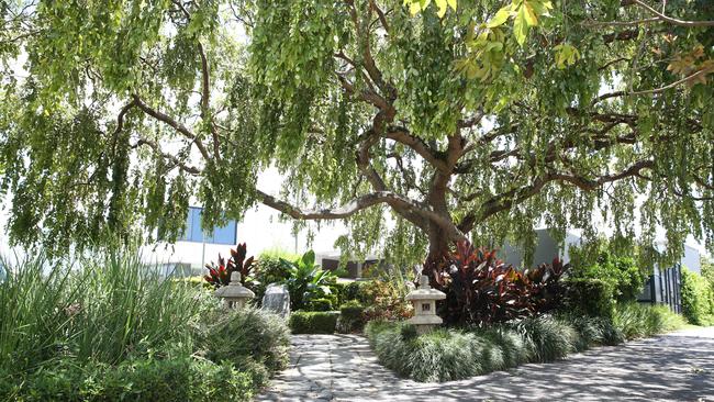 The shady and cool Japanese memorial garden on Grafton St has been touted as a perfect example of quality urban planning. Picture: Brendan Radke