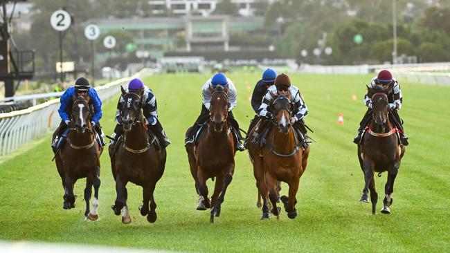 Cylinder (left), in a jumpout at Flemington, has impressed Jamie Kah with his work. Picture: Vince Caligiuri/Getty Images