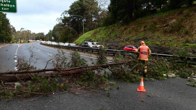 SES workers clear a fallen tree off the SE Freeway. Picture: Campbell Brodie