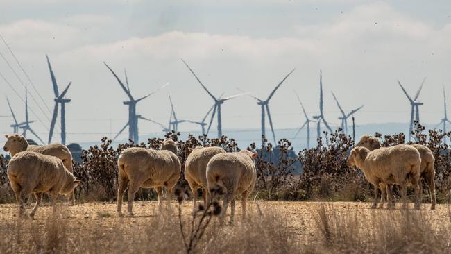 Wind Turbines for green electricity production near Ballan in Victorias west. Picture: Jason Edwards