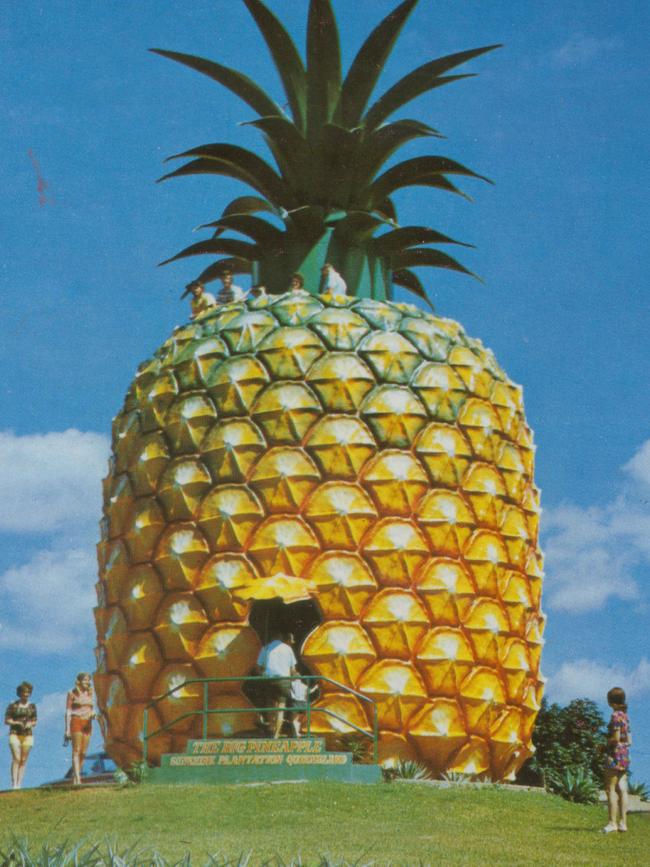 Our own Eiffel Tower ... the Big Pineapple.