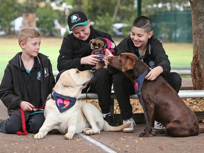 Embargoed for The Saturday Telegraph. Do Not Use. Pictured at Penrith Valley School in Werrington is Jackson Lee , Trent Patrikis and Isaiah Shareefpour with dogs that visit the school to help the kids relax in reading groups that previously caused anxiety and difficulty with the children.Picture: Richard Dobson