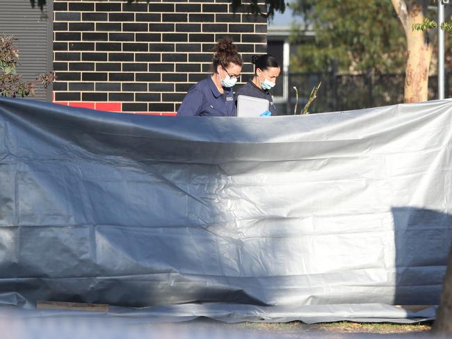 Police at the scene of a homicide at Wyndham Vale. A body has been found in Haines Dr Reserve. Saturday, January 11. 2025. Picture: David Crosling