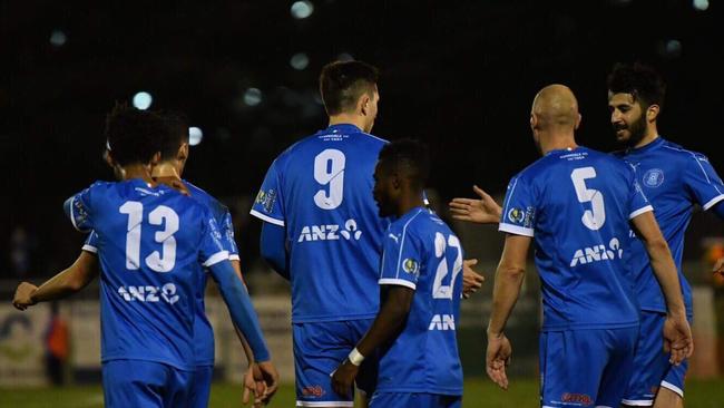 Liam Boland celebrates a goal with his Avondale FC teammates during qualifying. Picture: Avondale FC.