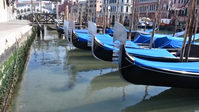 Coronavirus: Venice waters running clear due to lack of tourists