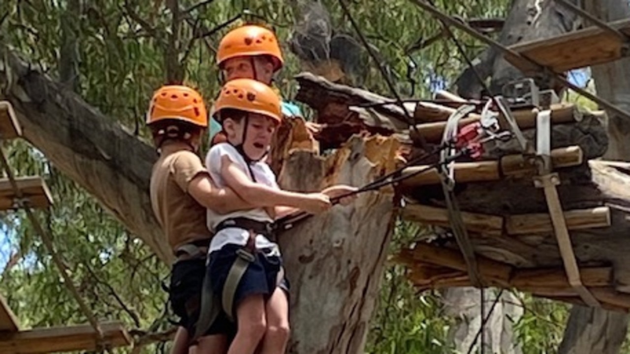 Falling gum branch narrowly misses children | The Advertiser