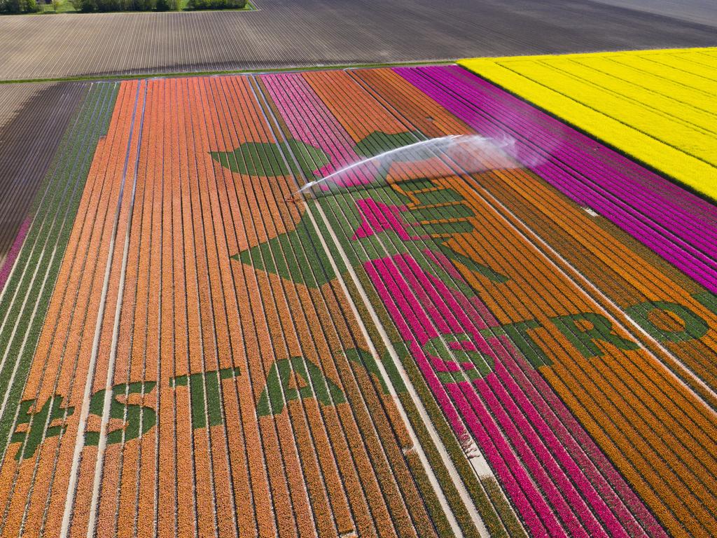 The message Stay Storng is written in tulips. Picture: AP Photo/Stef Hoffer, File