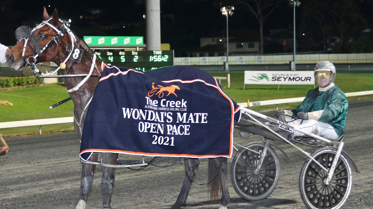 Copy That after winning at Albion Park. Picture: Dan Costello