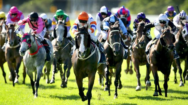 Jockey Tim Clark (orange cap /center ) rides HARMONIC to the line to win Race 6 The Provincial Championship Qualifier at Hawkesbury Race Club , Richmond .Picture Gregg Porteous