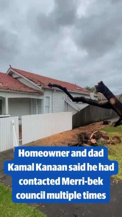 Tree falls on Coburg house