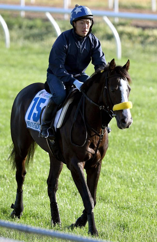 A jockey rides Japanese horse Mer De Glace during early morning trackwork at Werribee. Picture: William West