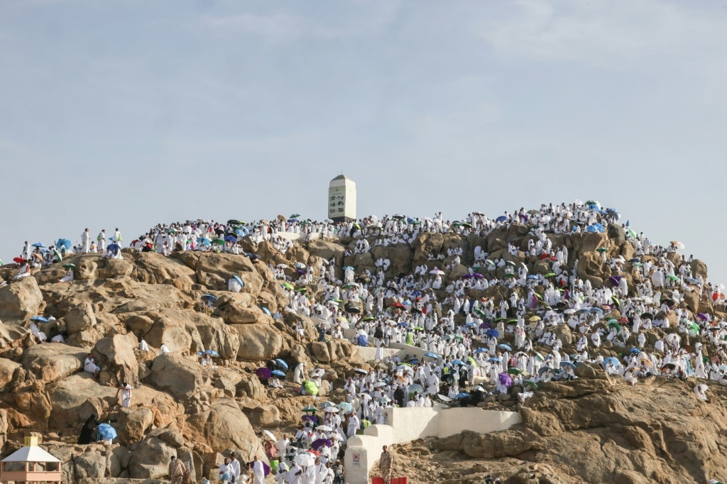 Muslim pilgrims pray at Mount Arafat in hajj apex