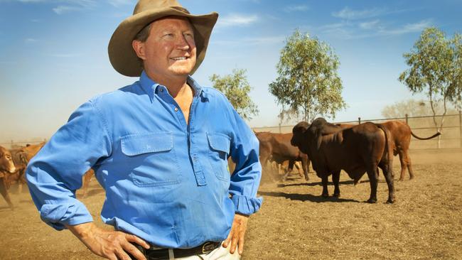 Mining billionaire Andrew Forrest plans to accelerate the Port Kembla LNG import terminal in NSW. Pictures supplied by Andrew Forrest
