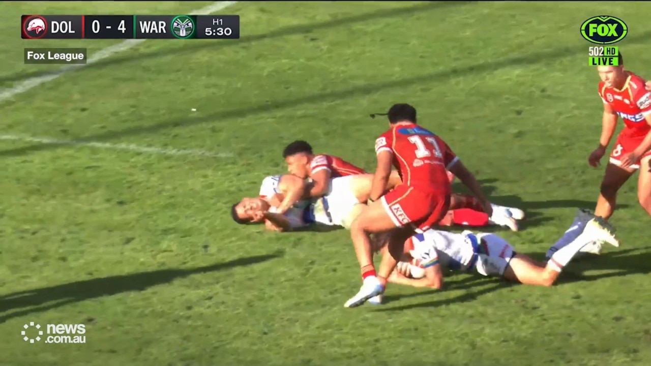 Dolphins robbed by referee howler