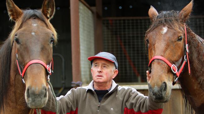 Tasmanian harness trainer Wayne Rattray with Cody Maverick (left) and Kalaeta Crown (right).