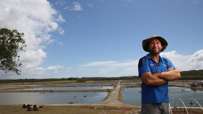 Warren Truloff at his prawn farm, which is back in production after white spot. PHOTO: David Kelly