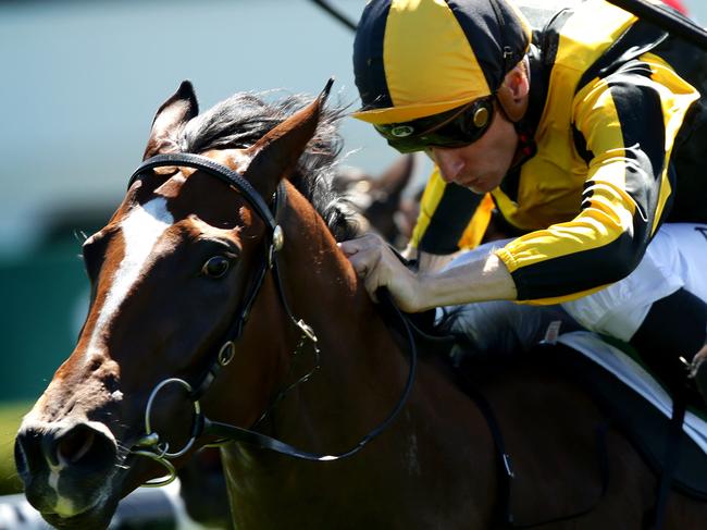 James Innes (white cap) rides ANDSOITISWRITTEN down the outside to beat the favorite CHEEKY BABE ridden by Blake Shinn at Canterbury Racecourse , Canterbury.Picture Gregg Porteous