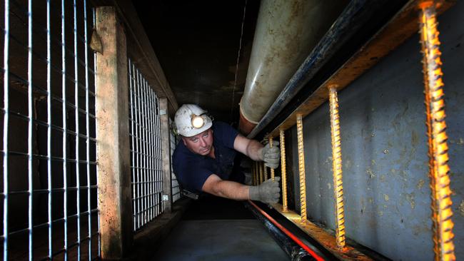 Missing schoolboy Terry Floyd murder mystery. Daryl Floyd is searching for his brother's body down an old gold mine in Avoca.