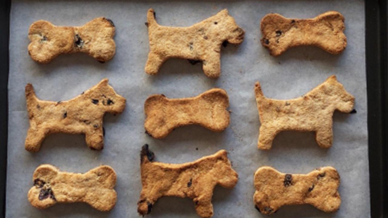 Dog cookies.