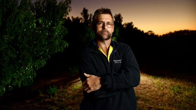 Riverland stone fruit grower Jason Size at his Bookpurnong orchard. Picture: Mark Brake