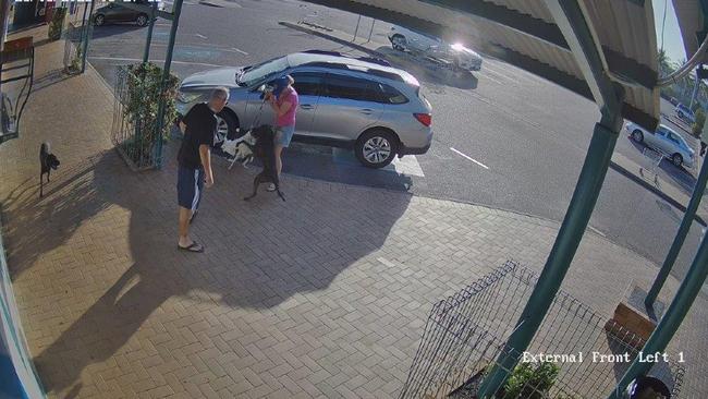 A woman's dogs were attacked outside Nightcliff Shopping Centre in June. Picture: Peter Poniris