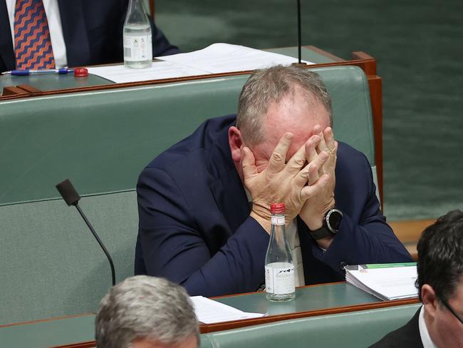 Barnaby Joyce has been chosen as the next leader of the Nationals. Picture: NCA NewsWire / Gary Ramage