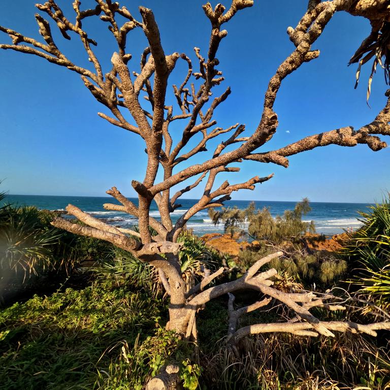 The ultra wide lens is great for landscape nature shots. Photo: Mark Furler