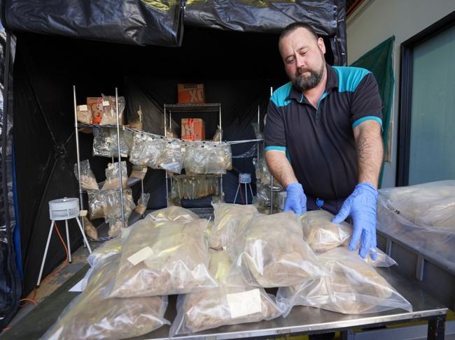 An extraordinary 766kg of MDMA was seized in Queensland in August, the third biggest in Australian history and the Sunshine State’s largest in history.