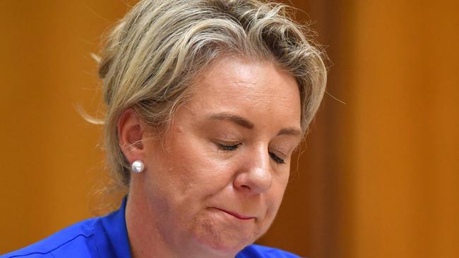 Minister for Agriculture Bridget McKenzie. Picture; AAP.